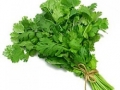 മല്ലിയില (Coriander Leaves)