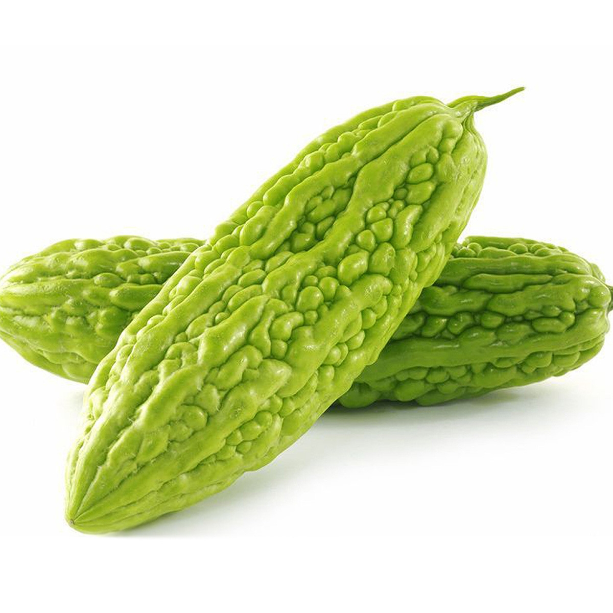 പാവയ്ക്ക (Bitter Gourd)