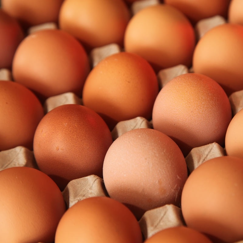 നാടൻ കോഴിമുട്ട (Hen Eggs)