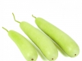 ചുരയ്ക്ക (Bottle Gourd)