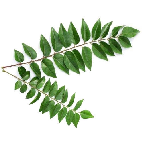 കറിവേപ്പില  (Curry Leaves)