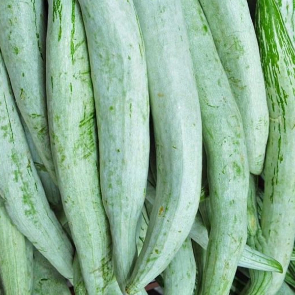പടവലങ്ങ (Snake Gourd)