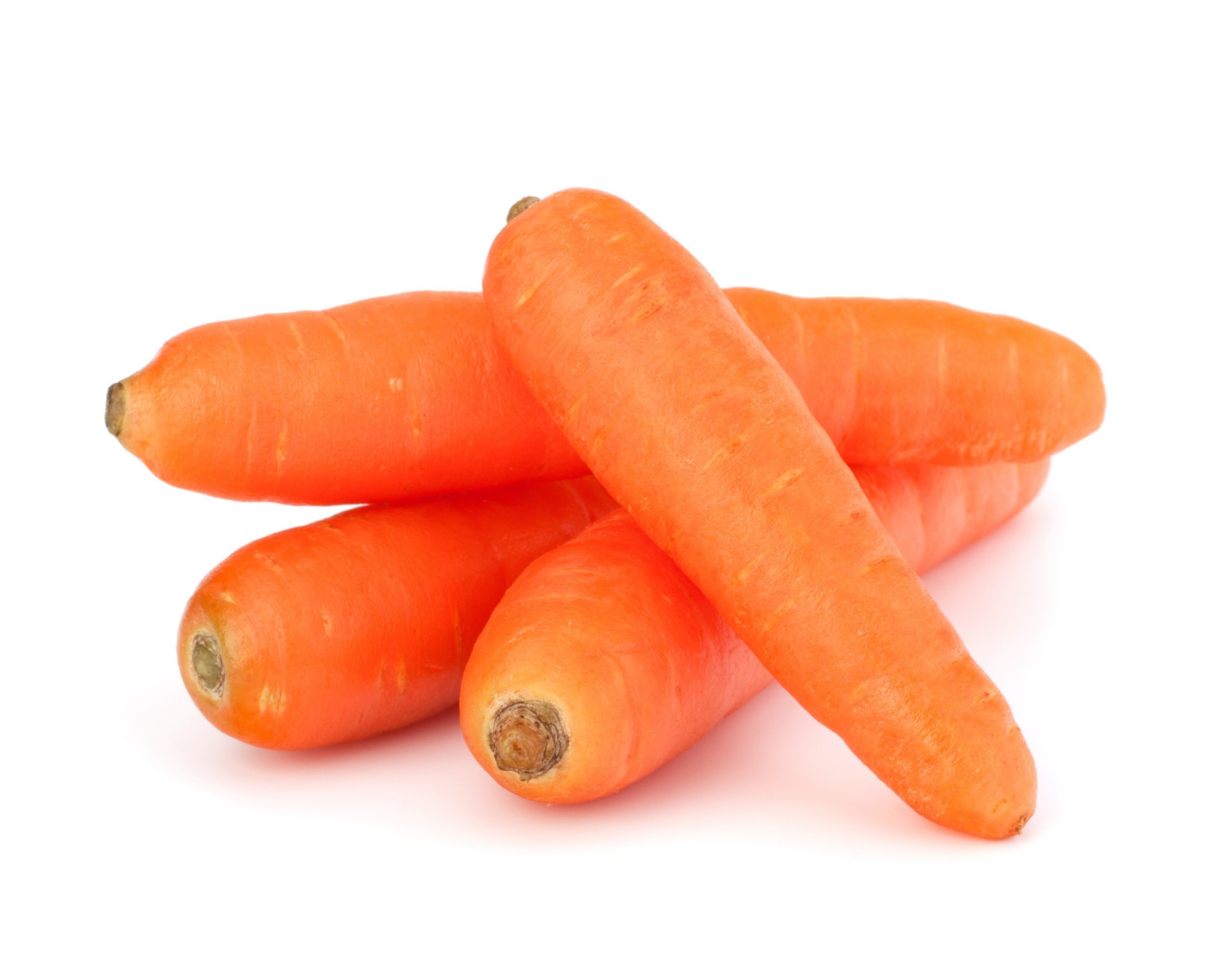 കാരറ്റ് (Carrot)