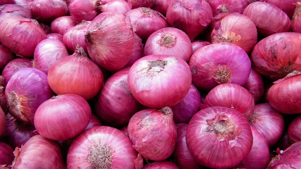 സവാള (Onion)